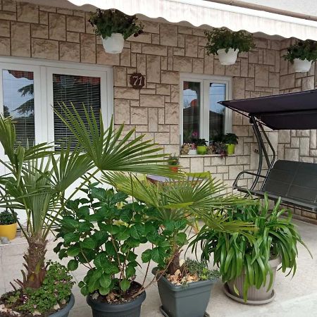 דירות קוסטרנה Sunce מראה חיצוני תמונה