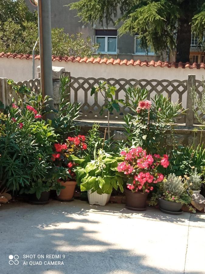 דירות קוסטרנה Sunce מראה חיצוני תמונה